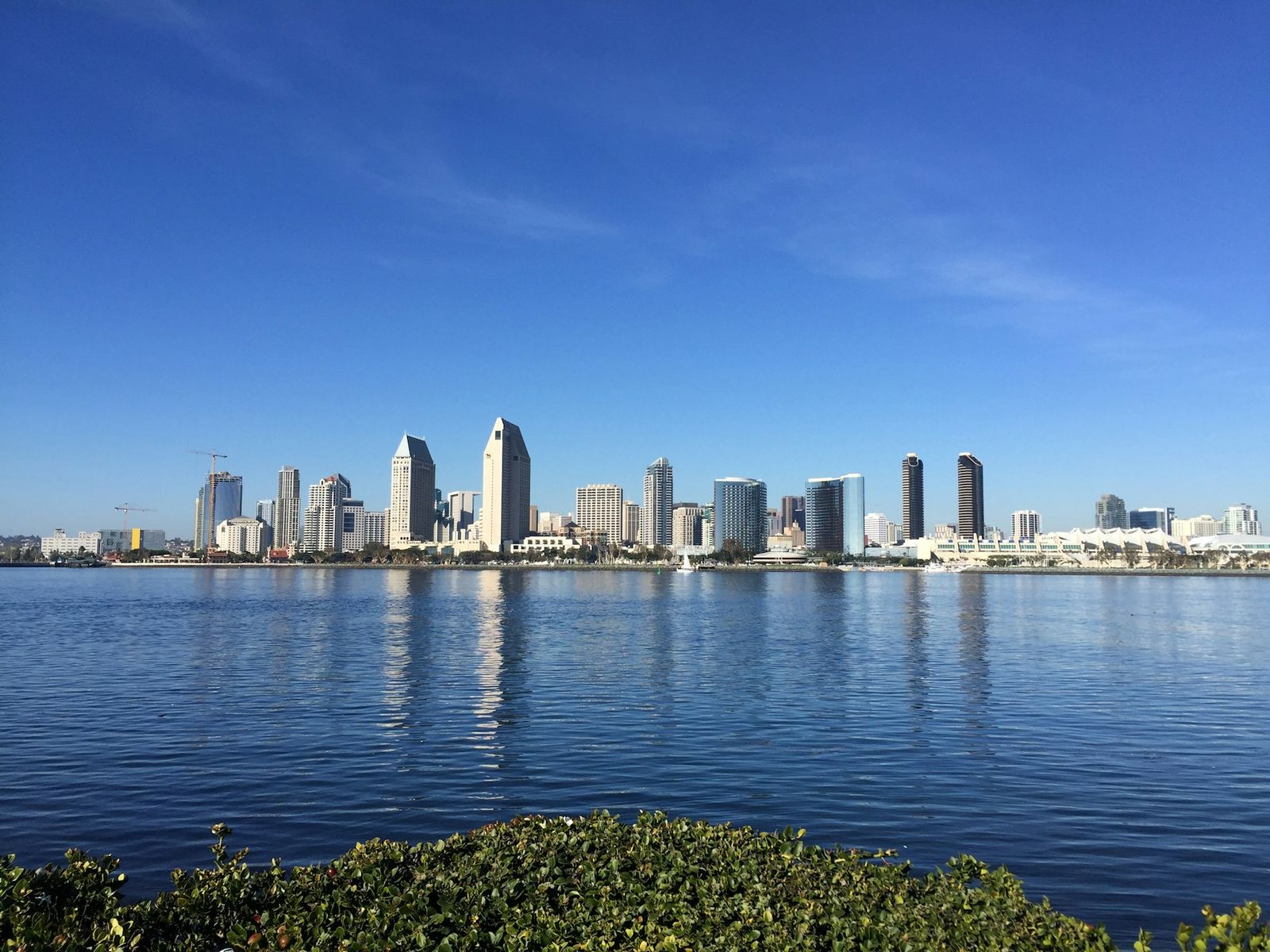 San Diego skyline along the waterfront